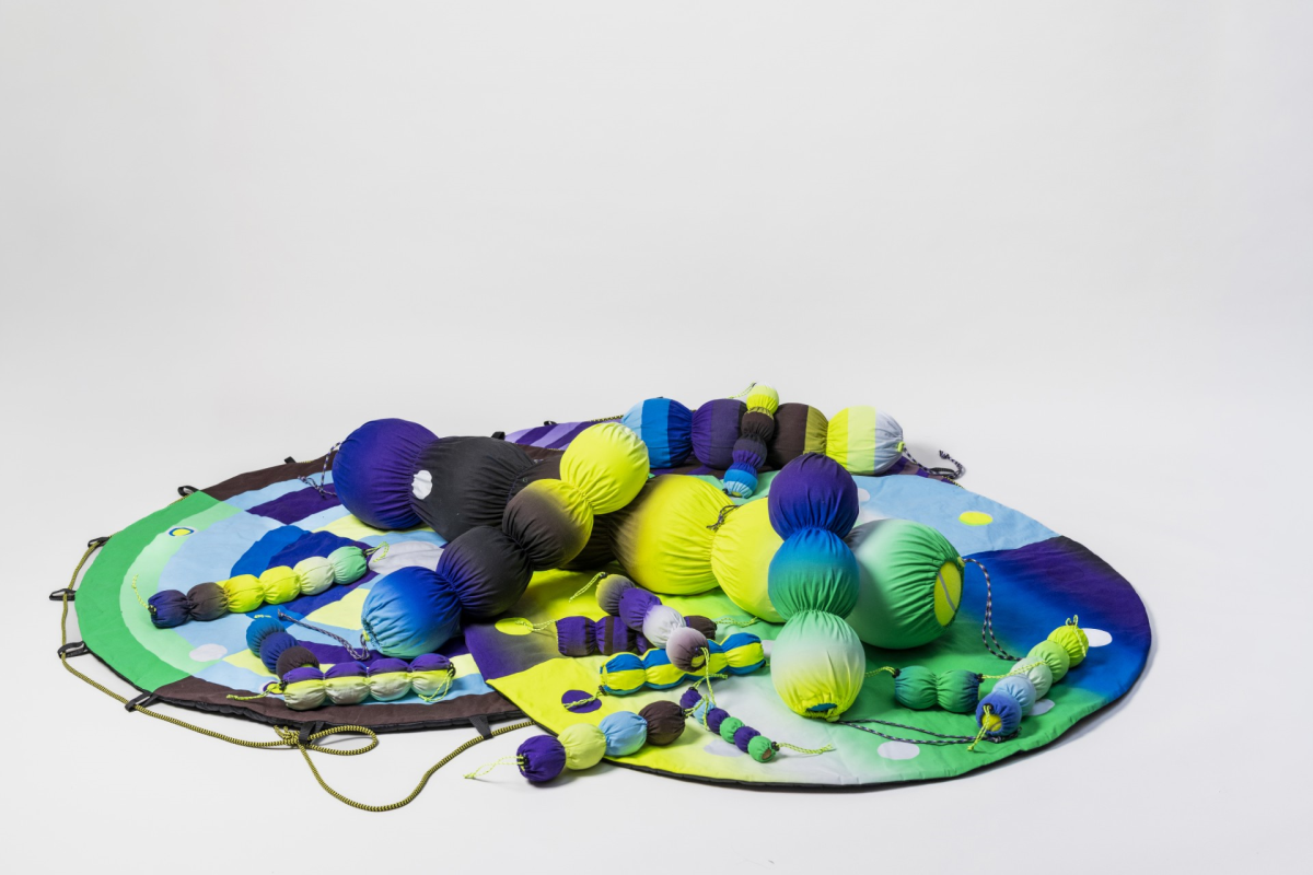 Vue du dispositif Ocelles. Les couleurs n'existent pas